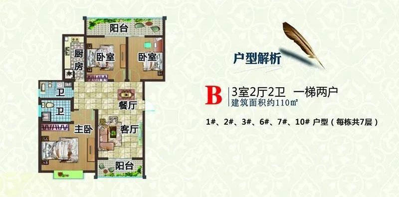 B户型