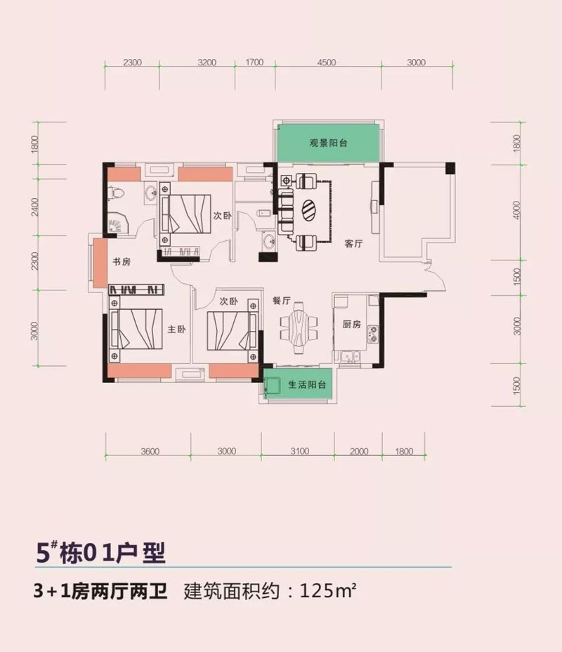 5#栋01户型