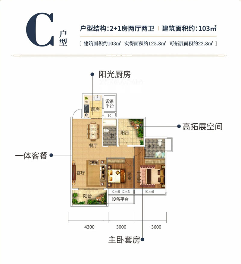 C户型