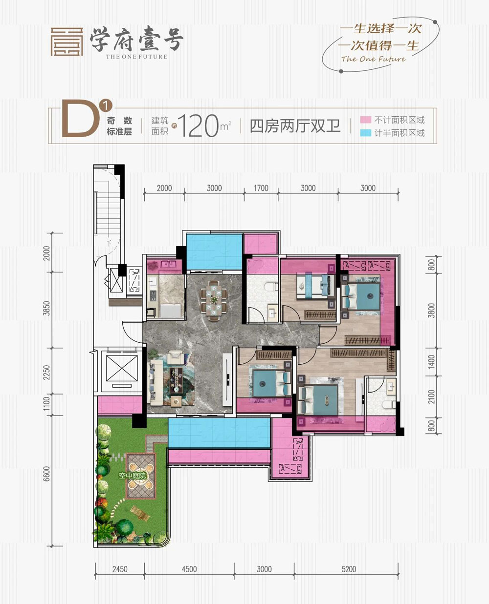 D1户型