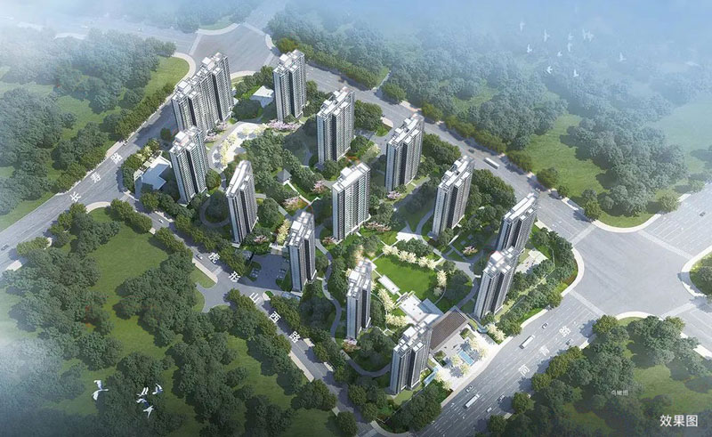 实景图