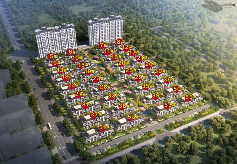 实景图