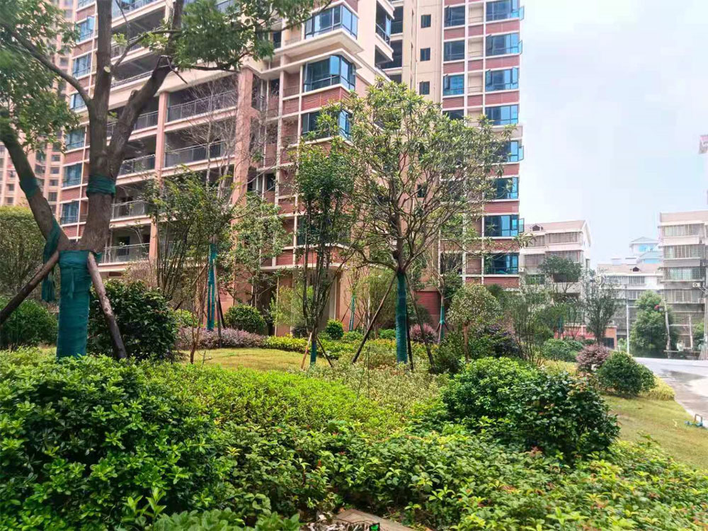 样板间