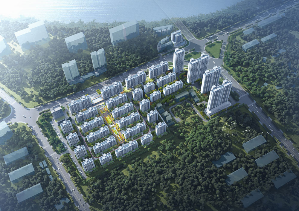 实景图