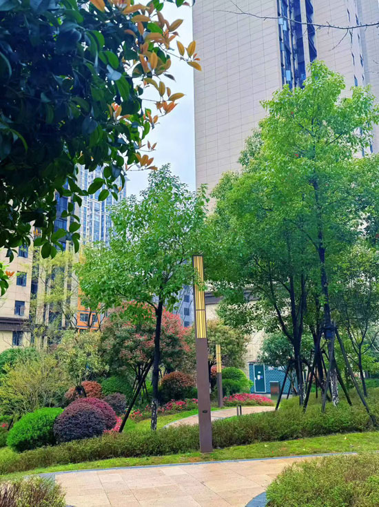 1774880449768432.jpg 4.jpg